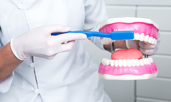  La prevención: el mejor tratamiento dental