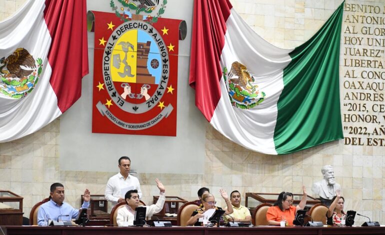  Busca Congreso sancionar la destrucción de colmenas de abejas polinizadoras