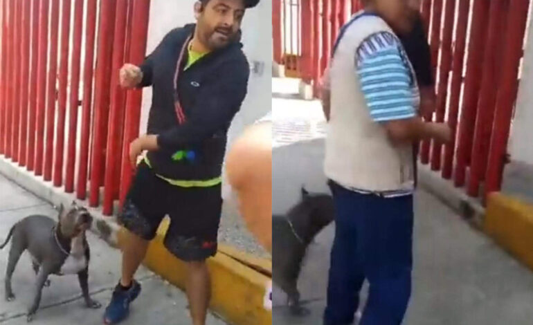  Hombre da cachetada a señora que le pidió pasear a su perro pitbull con correa