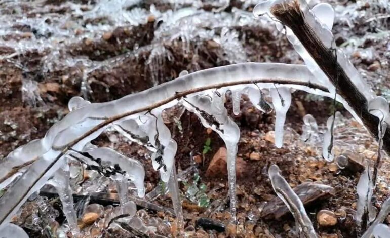 Continuarán las lluvias de intensidad variable y bajas temperaturas por frente frío número 26