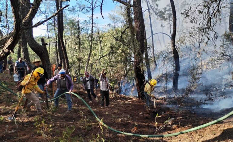  Coesfo liquida y controla cinco incendios en Oaxaca