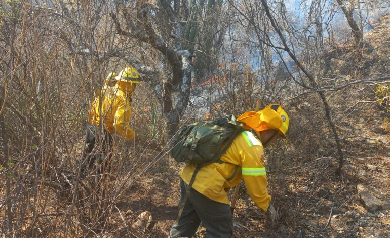  Atendió Coesfo tres Incendios en diversos puntos de Oaxaca