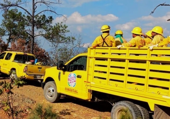  Atienden reporte de incendio forestal en la Sierra de Flores Magón y Sierra de Juárez