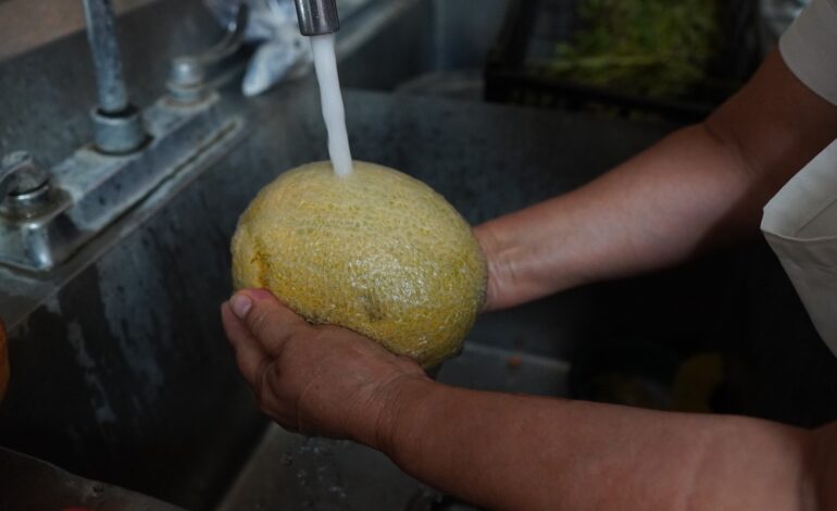  Conmemoran el Día Mundial del Agua