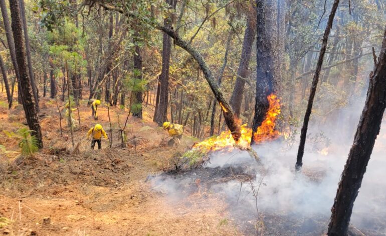  Controla Coesfo incendios en localidades de San Martín Peras