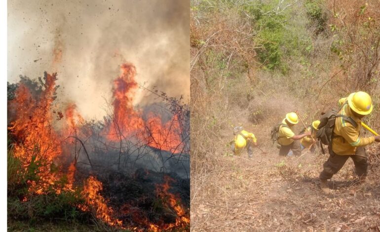  Combate Coesfo incendio forestal en Pochutla