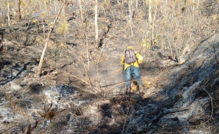  Controlado incendio forestal en San Pedro y San Pablo Ayutla