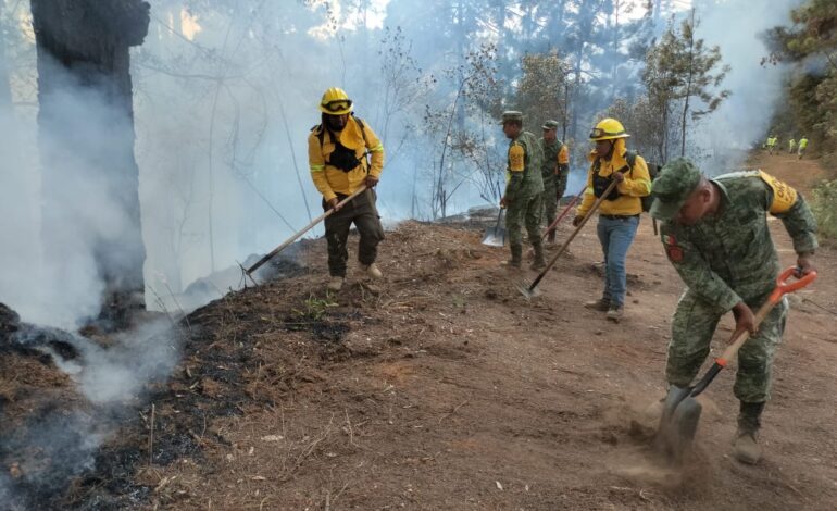  Combaten incendio forestal en agencia de Asunción Mixtepec