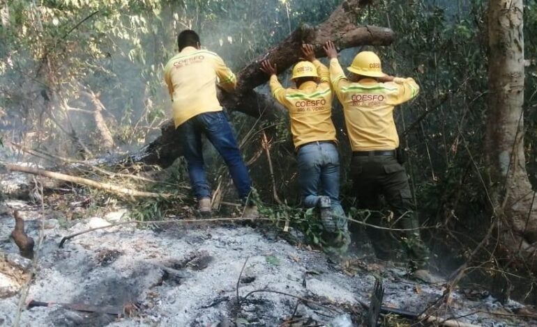  Liquida Coesfo incendio forestal en Santos Reyes Nopala y San Gabriel Mixtepec