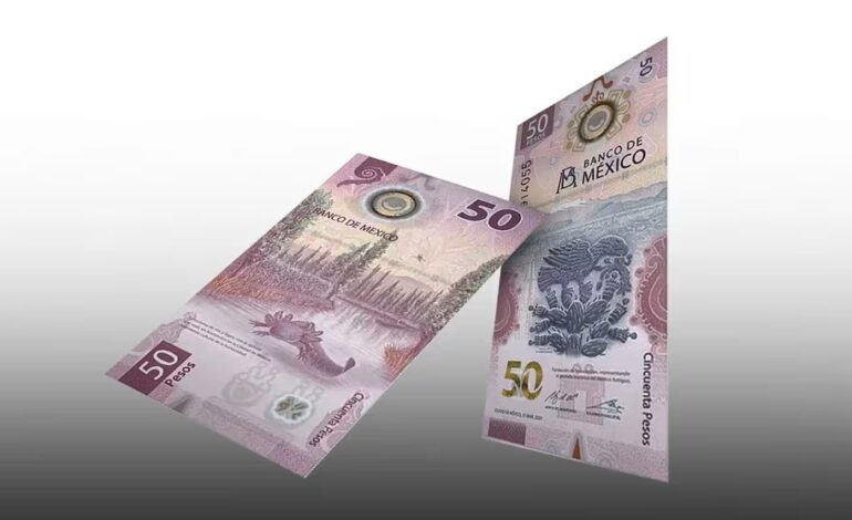  ¿Cuál es el valor real de una colección de billetes del ajolote con ‘error′ en su diseño que se vende en millones?