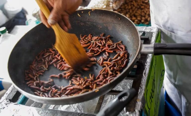  Estos son los asombrosos beneficios de los chinicuiles, alimento ancestral de la gastronomía mexicana