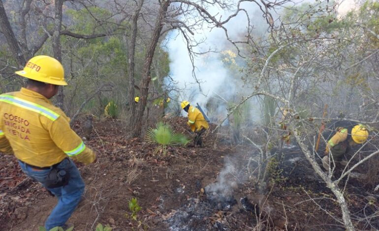  Refuerza Coesfo atención a incendio en San Francisco Telixtlahuaca