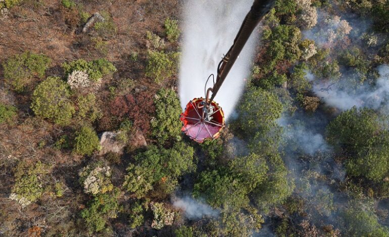  Controlado al 100% incendio forestal en San Pablo Villa de Mitla y Villa Díaz Ordaz