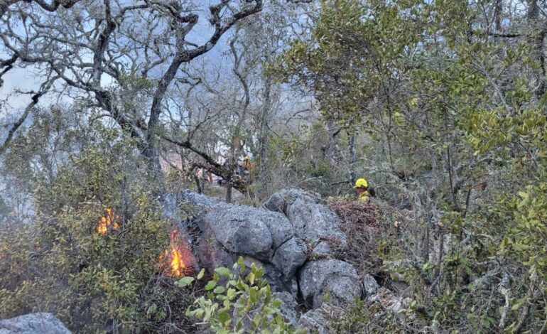  Controlado al 100% incendio forestal de Tepelmeme Villa de Morelos