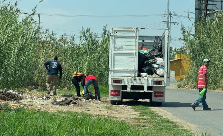  Invita Oaxaca de Juárez a reforestar ribera del Río Salado