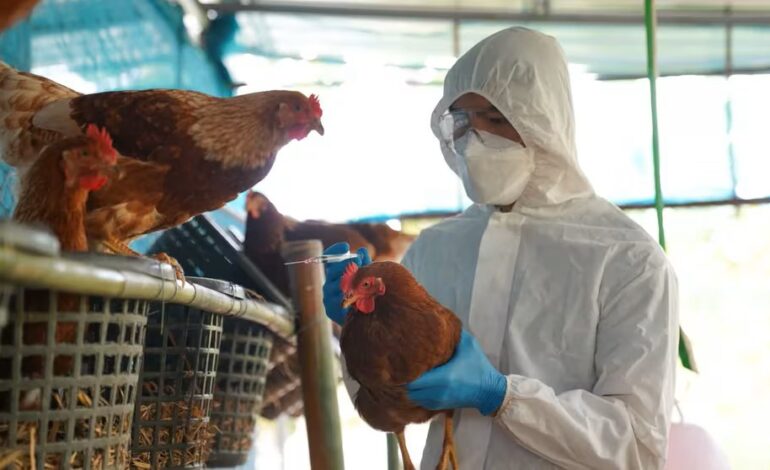  OMS confirma primera muerte por gripe aviar A H5N2 en México