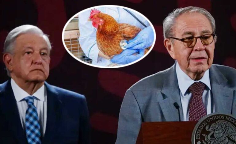  No existe peligro en la ingesta de pollo o derivados tras supuesto caso de gripe aviar: Ssa