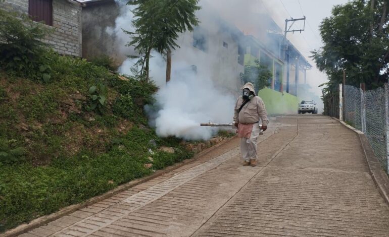  Notifican mil 855 casos acumulados de dengue en la entidad