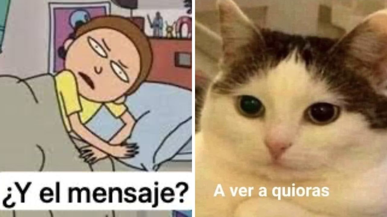 Los mejores memes por no recibir mensaje de prueba de alerta sísmica en ...