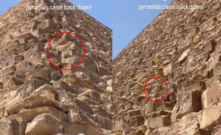 Perrito captado en la cima de la Gran Pirámide de Giza, logró bajar solito de las alturas