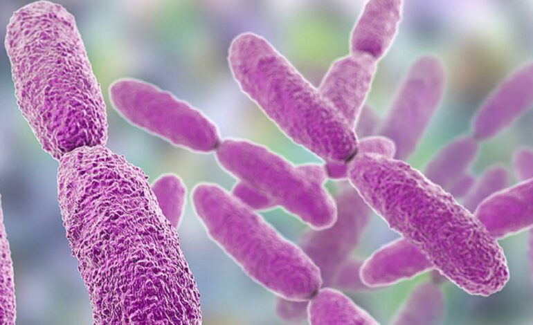 Bacteria Klebsiella oxytoca: suman 17 muertes en 3 estados