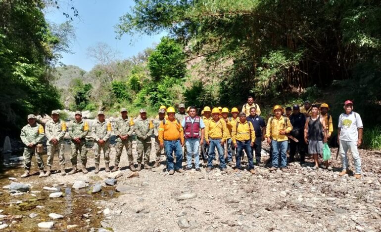 Controla Coesfo incendio forestal en San Pedro Pochutla