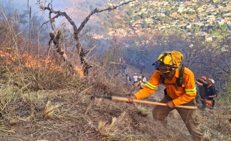 Liquida Coesfo incendio forestal en Ixtlán de Juárez