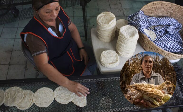 Crisis del maíz en México: Importaciones se disparan 162%… ¡Hasta para tortillas!