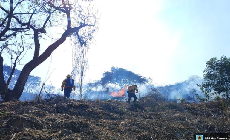 Reporta Coesfo control de dos incendios forestales en Santiago Pinotepa Nacional