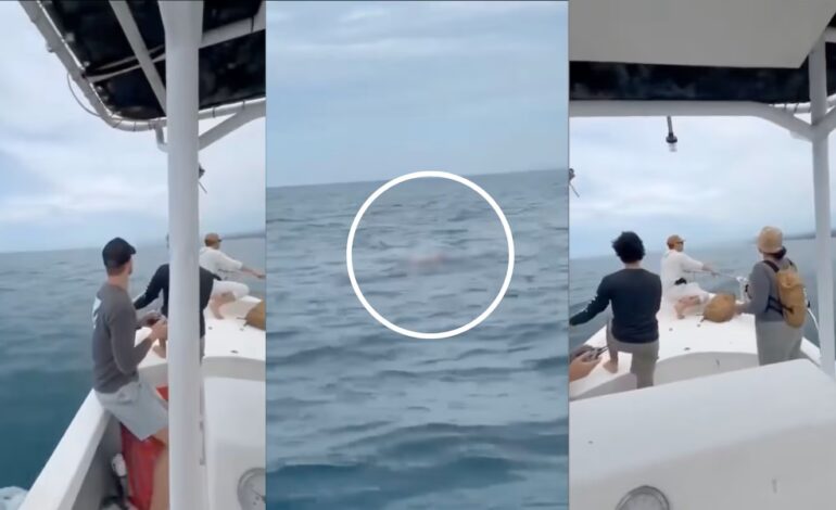¡Era canadiense! Encuentran cádaver flotando en la costa de Puerto Escondido