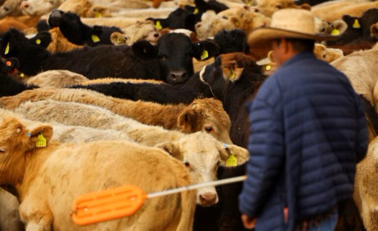Confirma Sefader caso de gusano barrenador en Oaxaca