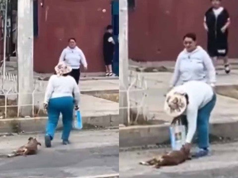 Mujer arrastra a perrita inconsciente, indigna las redes sociales