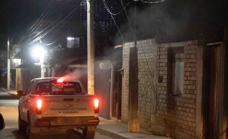 Xoxocotlán refuerza campaña contra el dengue: La prevención comienza en casa