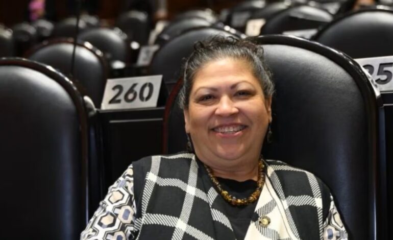  “¡Actualícense, ignorantes!”: Diputada de Morena defiende uso de IA para leer iniciativas en 15 minutos