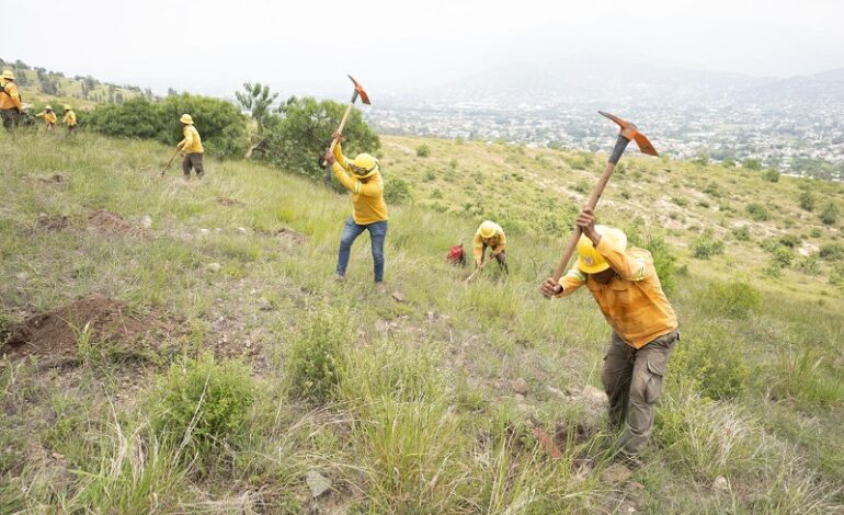  Con 21 brigadas inicia Coesfo trabajos de apertura de cepas para la Mega Reforestación en Santa María Atzompa
