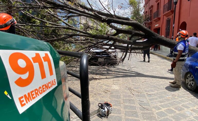  Persistirán lluvias de intensidad variable en mayor parte del territorio oaxaqueño