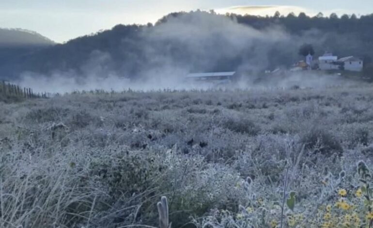  Se registran heladas en Tlaxiaco y la Mixteca; temperatura desciende a -1°C