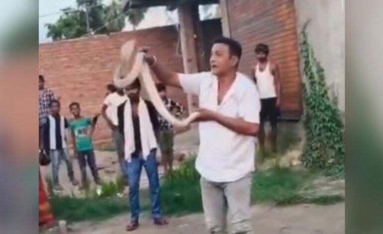 Muere famoso domador de cobras tras letal mordida, decenas de personas presenciaron sus últimos suspiros