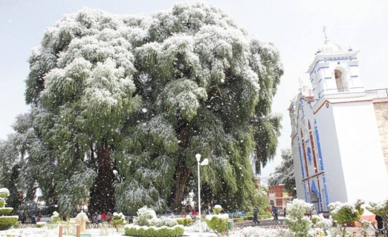  Desmiente Protección Civil imágenes generadas con IA sobre supuestas nevadas en Oaxaca