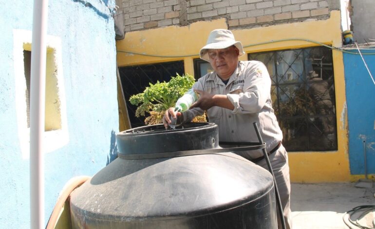  Previo al cierre del año, Oaxaca acumula 274 casos de dengue