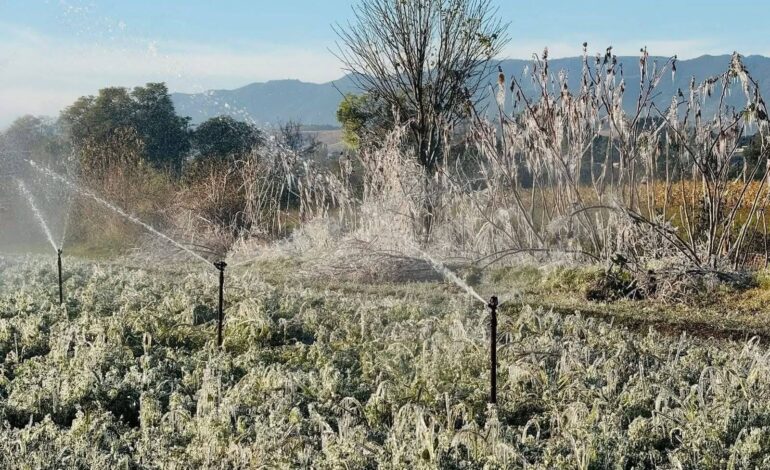  Emite Protección Civil recomendaciones por efectos del frente frío número 27 en Oaxaca
