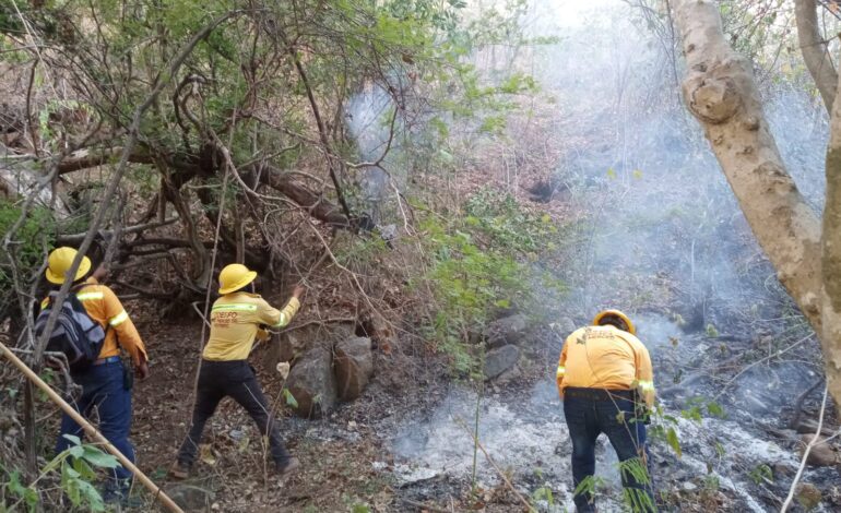  Atiende Coesfo 14 incendios forestales en cuatro regiones de Oaxaca