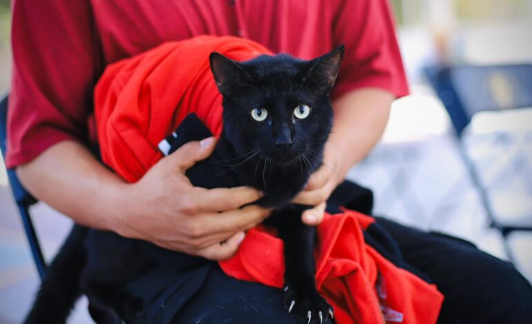  Por la salud de nuestras mascotas, arranca vacunación antirrábica gratuita en Xoxocotlán