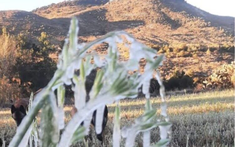  Este viernes se mantendrán temperaturas bajas durante la mañana y noche en Oaxaca