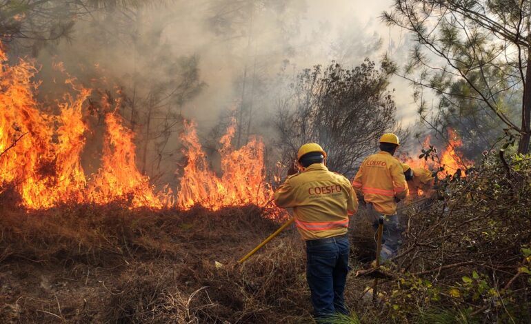  Exhortan a municipios a implementar campañas de información para prevenir incendios forestales en Oaxaca