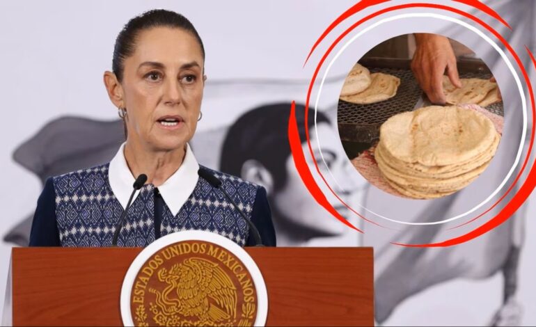  Sheinbaum aclara el precio de la tortilla: ¿subirá o no en México?