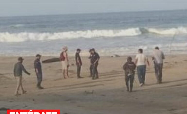 Hallan a una mujer sin vida con 28 puñaladas en playa Aragón, en la Costa de Oaxaca