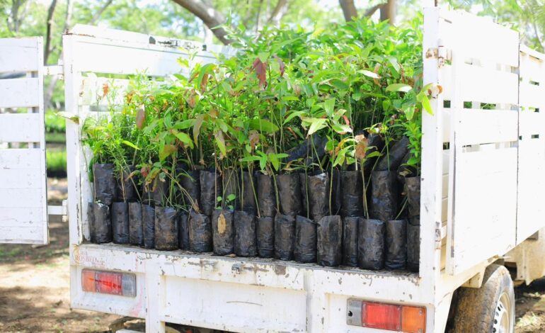 Recibe Xoxocotlán árboles para impulsar la reforestación urbana